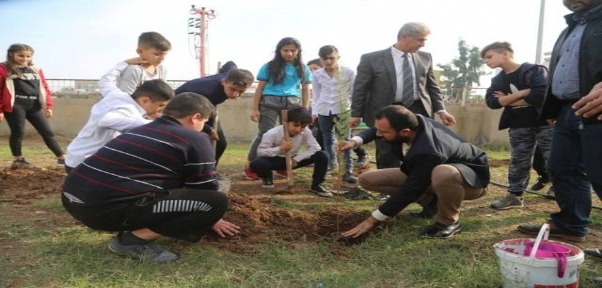 Silopi`de Talasemi Hastaları Adına Fidan Dikildi