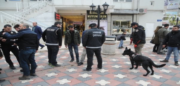 Narkotik Ekipleri Cizre`de 120 Polisle Uyuşturucu Denetimi Yaptı