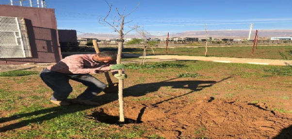 Silopi`de Parklarda Ağaçlandırma Çalışması