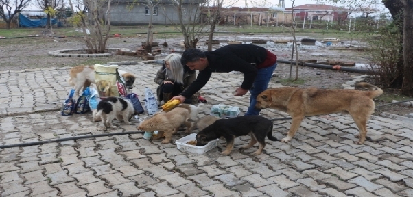 Silopili Hayvansevere İstanbul Ve İzmir`den Köpek Maması Desteği