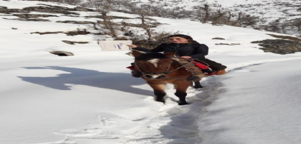 Öğretmenler Karne Dağıtmak İçin At Sırtında Köy Okuluna Gitti