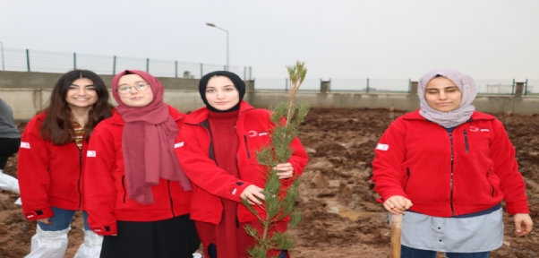 Cizre Kızılay Şubesinin Şenlendirme Projelerine Devam Ediyor