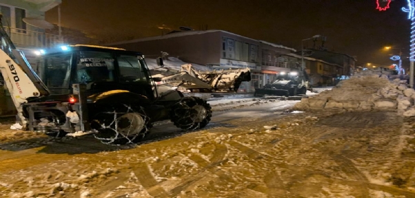 Beytüşşebap`ta Nesli Tükenme Noktasında Olan Beyaz Gelincik Şırnak`ta Görüntülendi