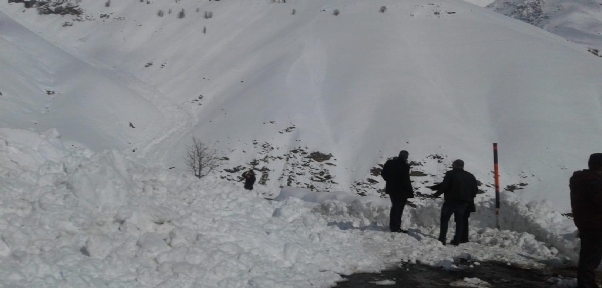 Şırnak-Hakkari Karayoluna Çığ Düştü