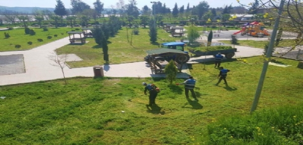 Cizre Belediyesinden Ağaç Budama Ve Çim Biçme Çalışmaları