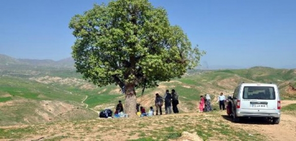 Silopililer Piknik Alanlarına Akın Etti