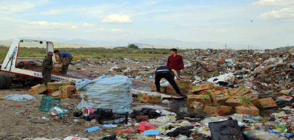 Silopi`de 994 Kilogram Kaçak Muz İmha Edildi