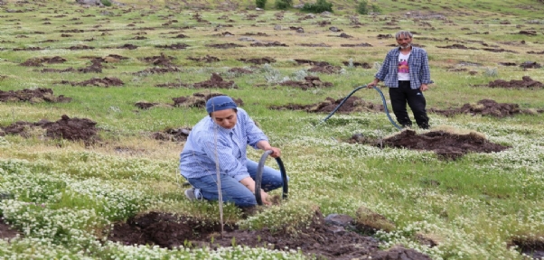 Kadın Girişimci Türkiye`nin En Büyük İpek Böceği Üretimi İçin Dut Bahçesi Kurdu