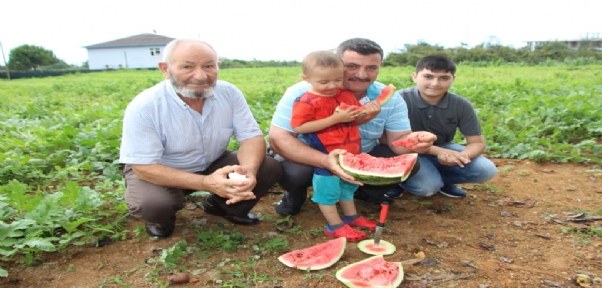 Doğu Karadeniz`in tek karpuz üretim merkezinde hasat başladı