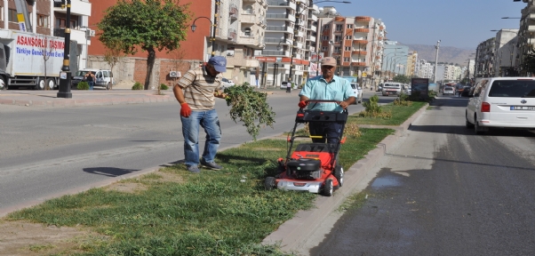 Cizre Belediyesi Özkan Caddesini Yıkayıp Mem U Zin Bulvarında Temizlik Yaptı