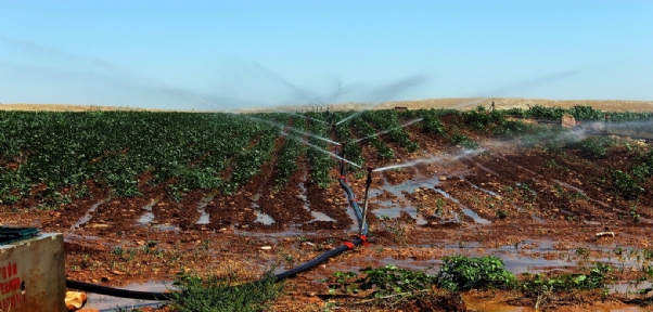 25 Sulama Birliğinin Dicle Elektrik`e Olan Borcu Yarım Milyar Liraya Yaklaştı