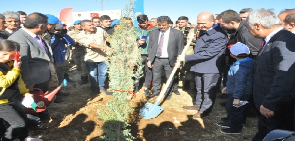 Bakan Soylu Namaz Dağı Üs Bölgesinde Fidan Dikme Etkinliğine Katıldı