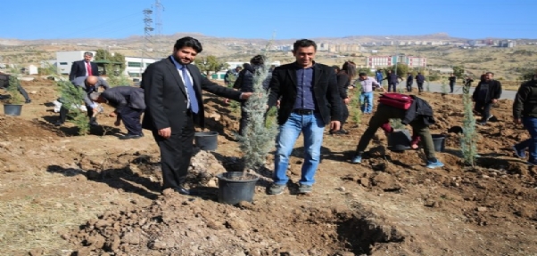 Üniversiteden"Geleceğe Nefes Ol" Kampanyasına Büyük Destek