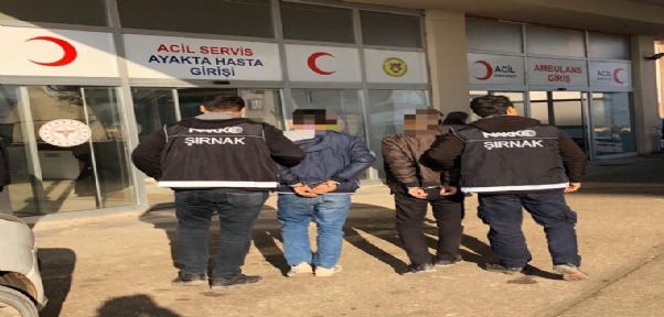 Cizre`de 1 Torbacı Daha Tutuklandı