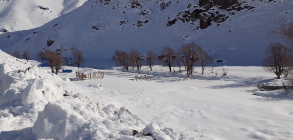 Yeşilöz Deresi Dondu, 3 Bin Rakımlı Yayla Beyazlar İçinde Kaldı