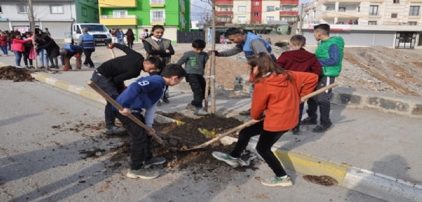 Cizre Belediyesi Yeşil Bir Gelecek İçin Çalışıyor