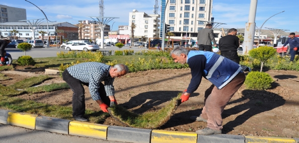 Cizre`de Yeşillendirme Çalışmaları Aralıksız Devam Ediyor