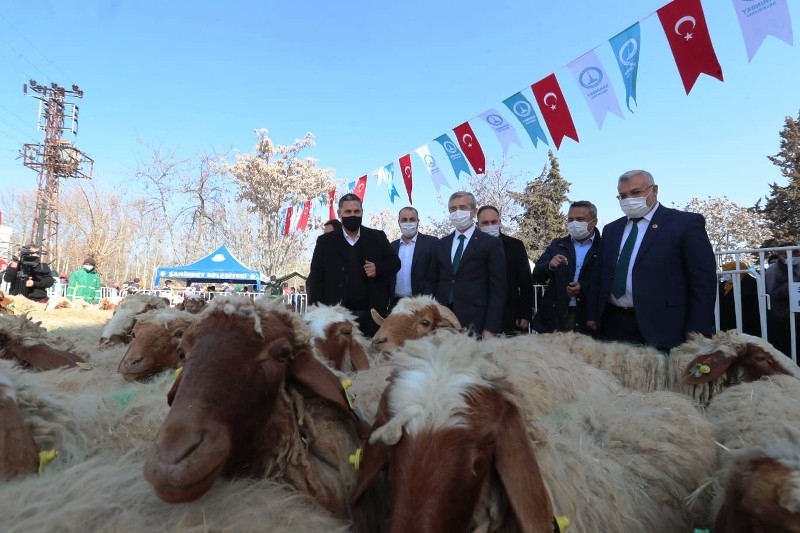 Şahinbey'de hayvan yetiştiricilerinin yüzü gülüyor