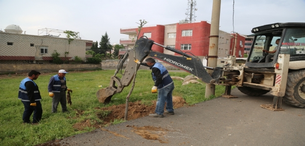 Cizre`de Cudi Ve Sur Mahallesinde Yeşillendirme Çalışması Başlatıldı