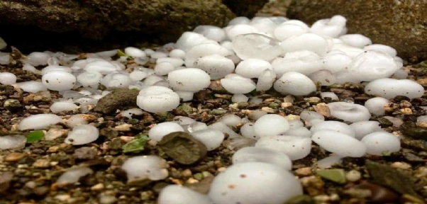 Uludere`de ceviz büyüklüğünde dolu yağdı