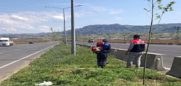 Başverimli Belediyesinden Orta Refüj Peyzaj Çalışması