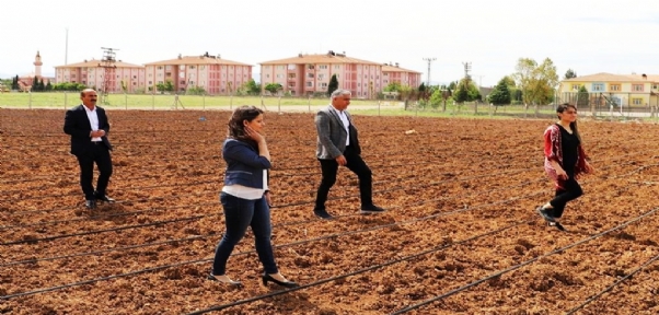 Silopi`de Fide Ekimi Başladı