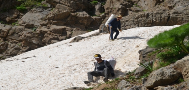 Kilometrelerce Yol Yürüyüp Topladıkları Pancarları Satarak Geçimlerini Sağlıyorlar