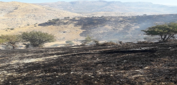 Şırnak`ta Ağaçlık Alanda Yangın: Yüzlerce Dönüm Alan Kül Oldu