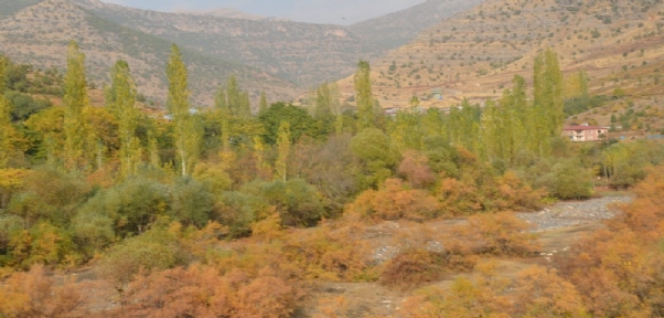 Beytüşşebap`ta Sonbahar Güzelliği