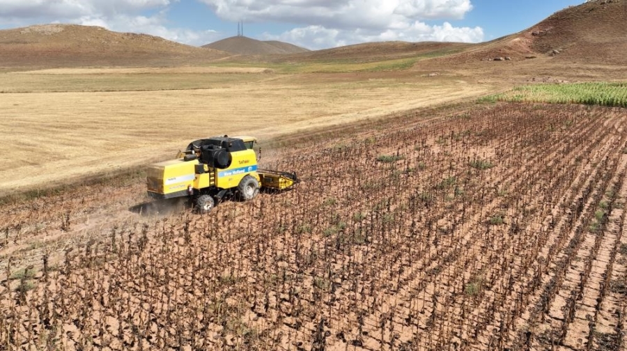 Tarımsal girdi fiyat endeksi yıllık yüzde 33,22, aylık yüzde 0,26 arttı