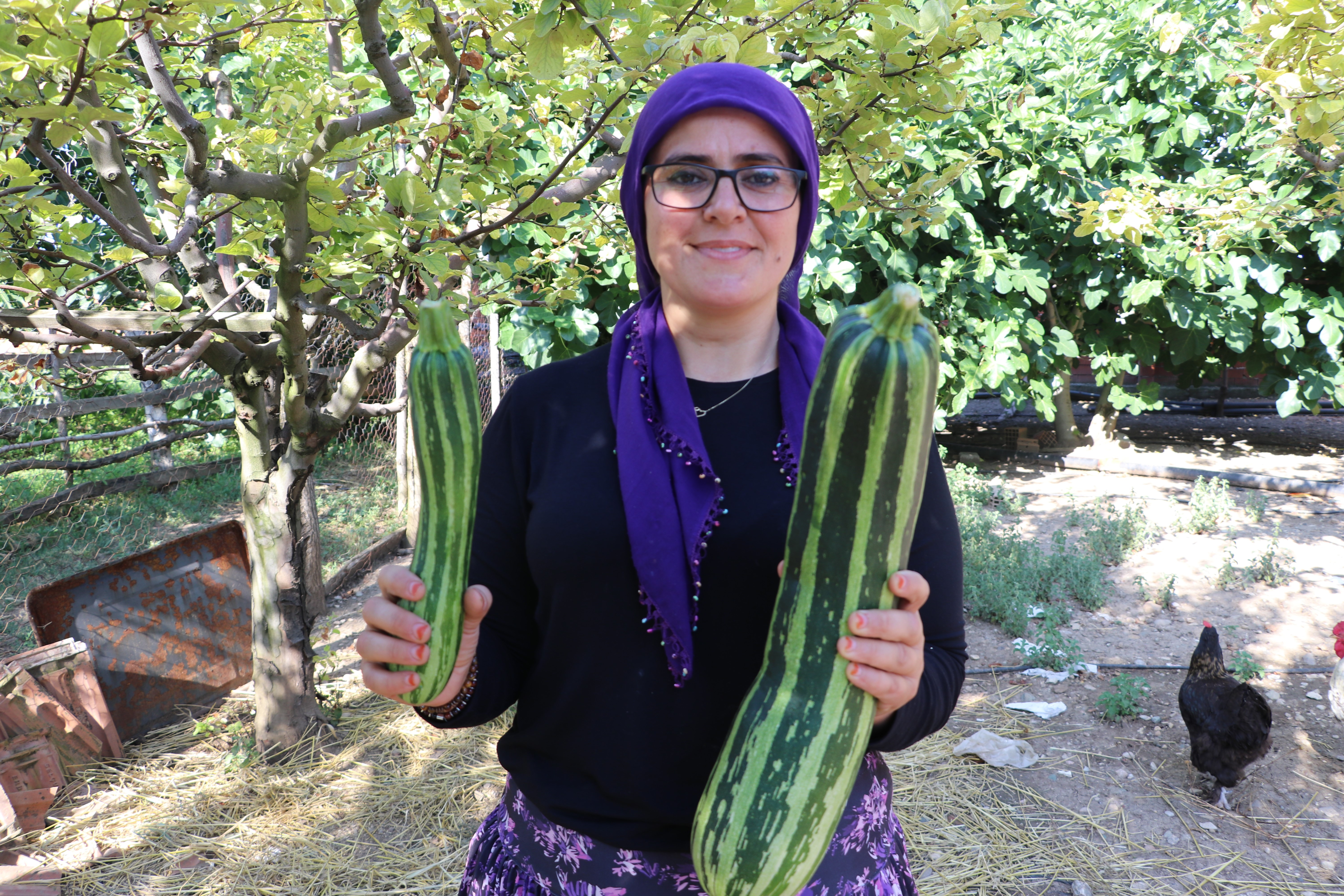 Görenleri şaşkına çeviren kabak