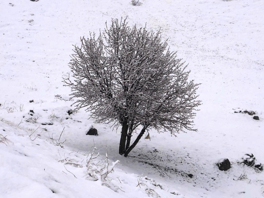 NİSAN AYINDA BİLE KAR YAĞDI