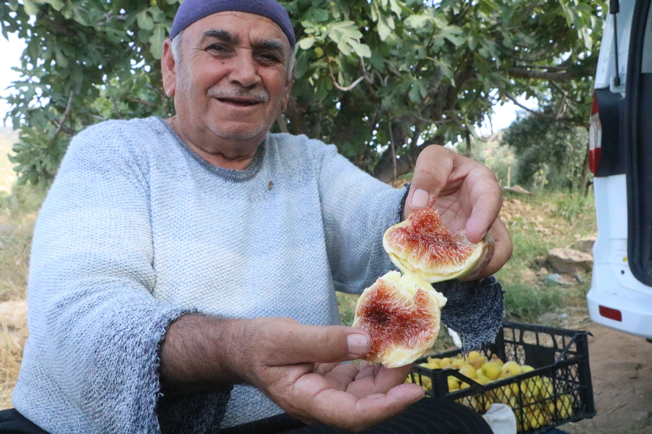 Enkaz kentte ağızları tatlandıran hasat yüz güldürdü