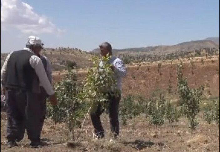 ŞIRNAK'TAN SES GETİRECEK BİR PROJE DAHA