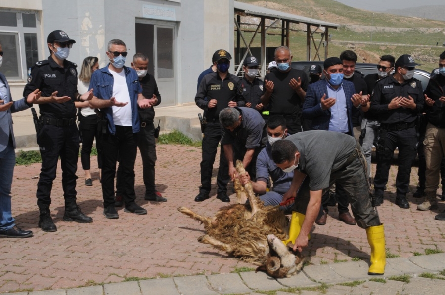 CİZRE’DE ŞEHİT POLİSLER İÇİN KURBAN KESİLDİ, MEVLİT OKUTULDU