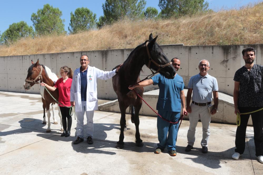 TÜRKİYE'NİN İLK TÜP TAYI DÜNYAYA GELECEK