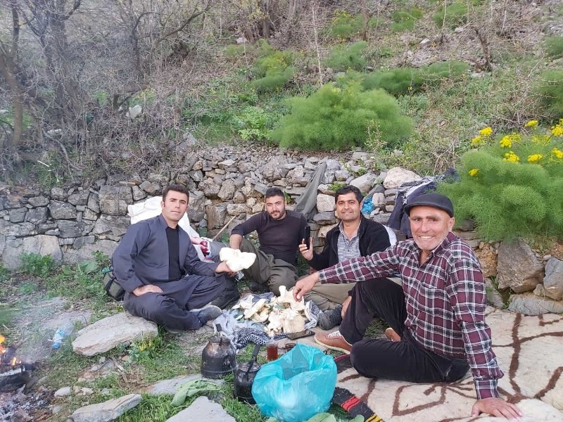 Terör nedeni ile Şırnak'tan göç eden dengbej, huzur ortamının sağlanmasıyla memleketinin yolunu tuttu