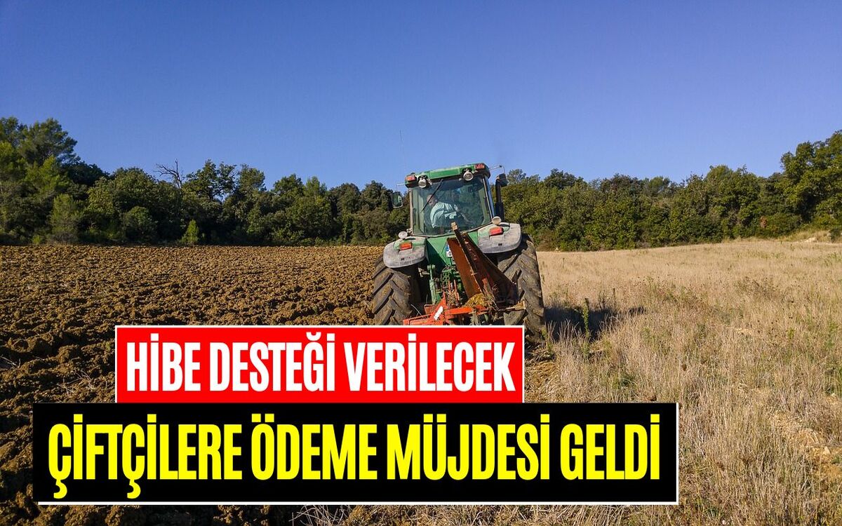 Çiftçilere Hibe Desteği! Tarım ve Orman Bakanlığı Açıkladı