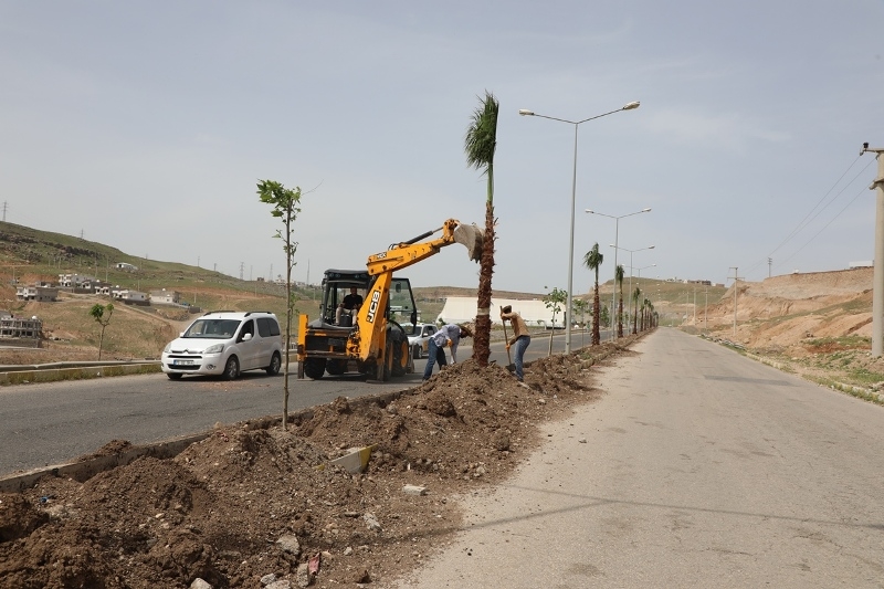 Cizre Belediyesi Çalışmalara Devam Ediyor