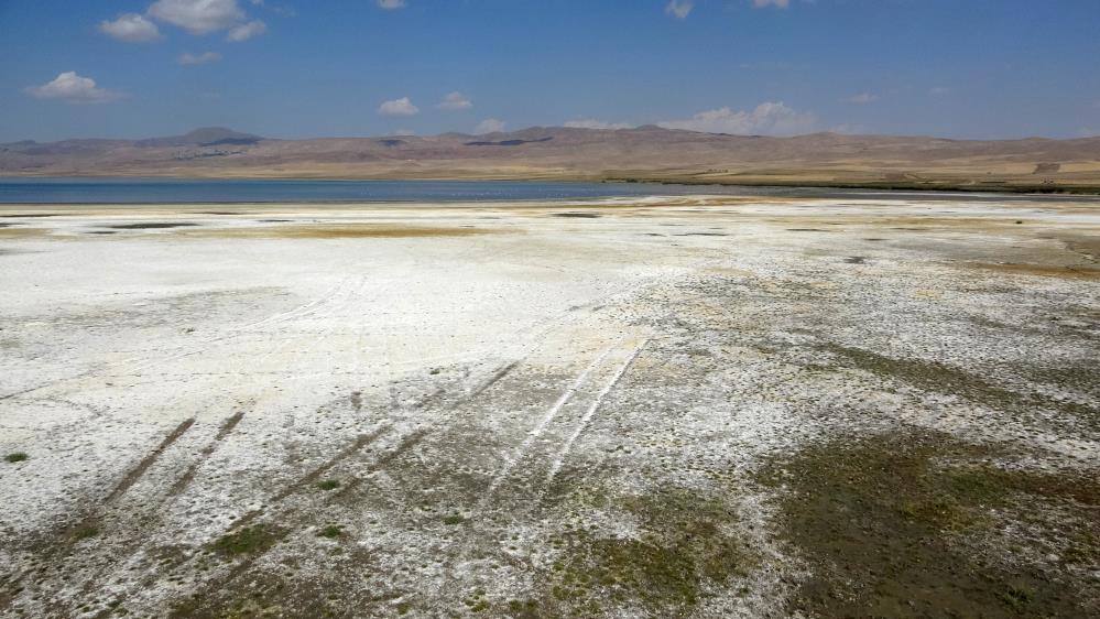 Kuş cenneti Erçek Gölü’nün suyu çekildi