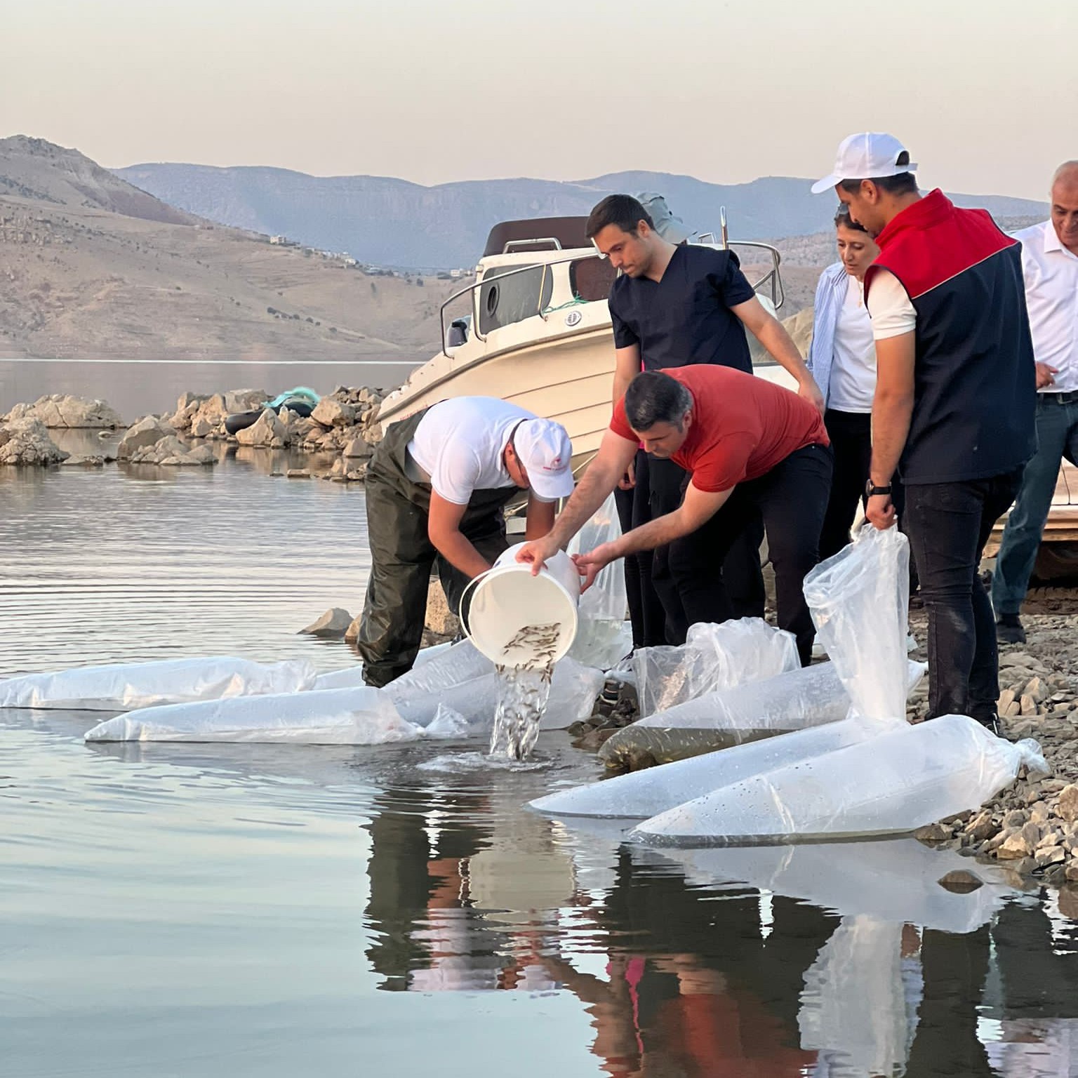 Şırnak’ta Balık Popilasyunu artıyor