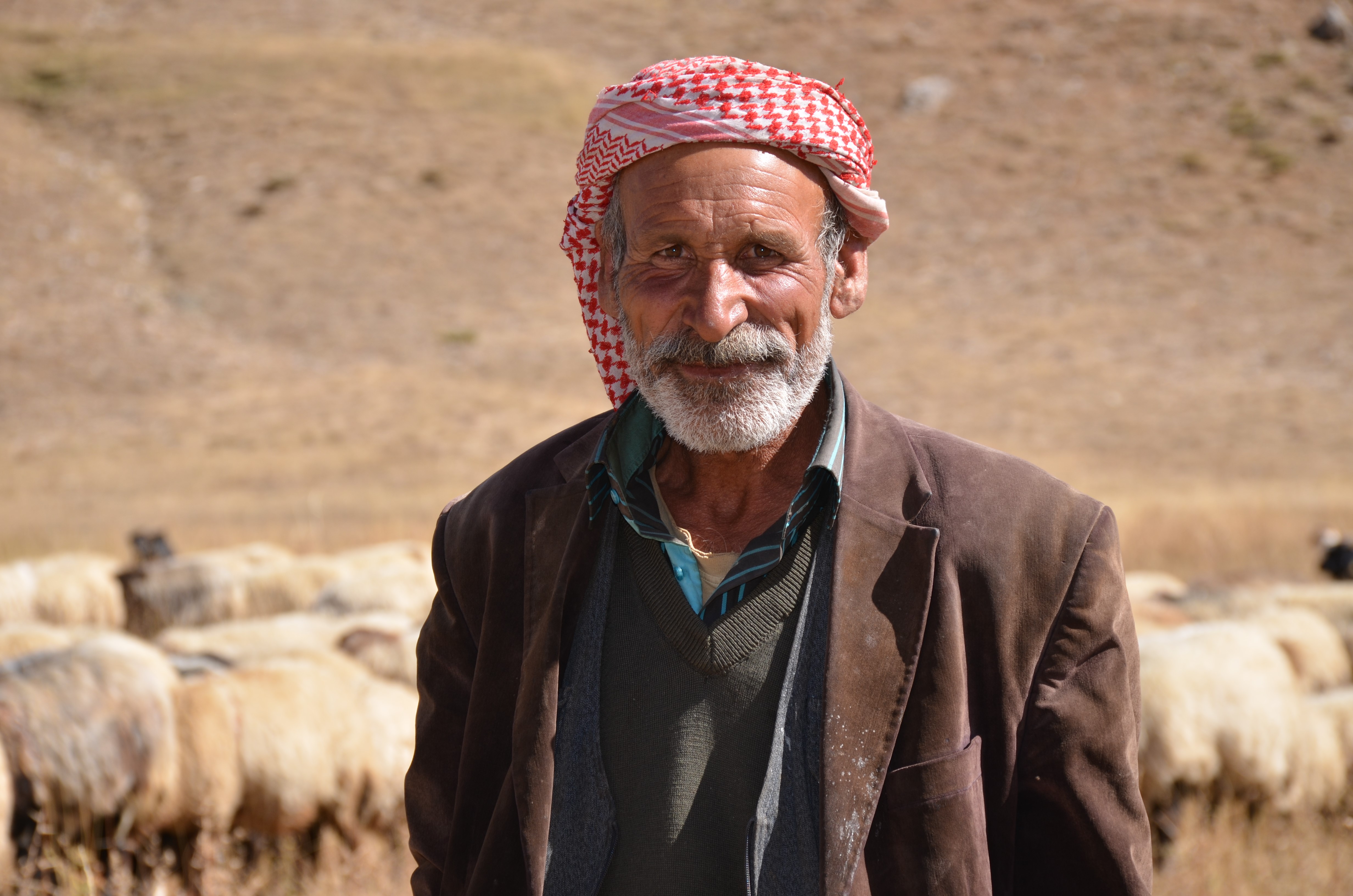 Şırnak'ta Göçerlerin göç vakti başladı