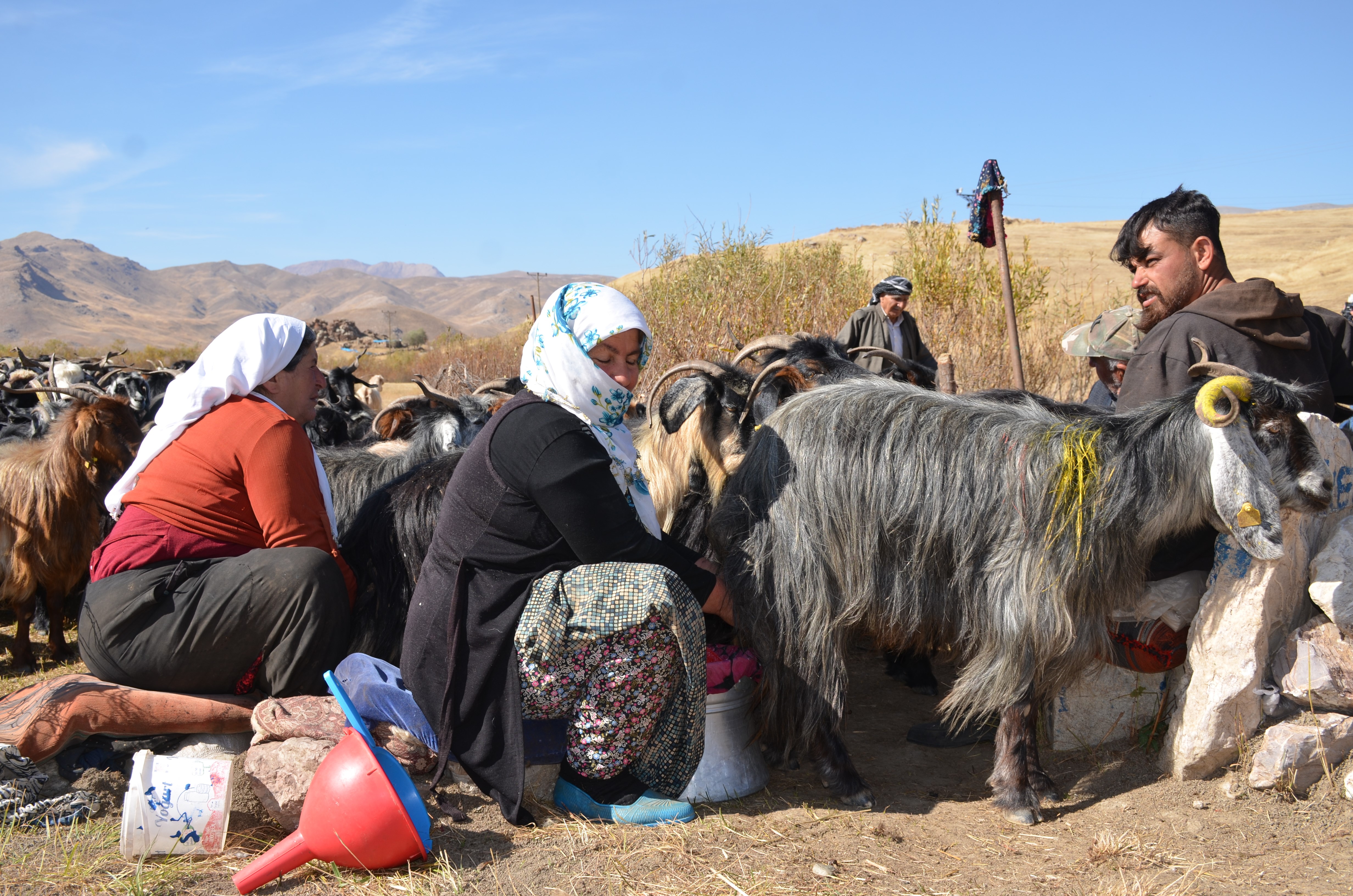 Bu Mesleğe Devletten Tam Destek Geldi