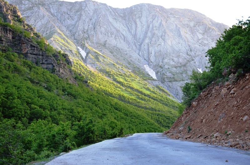 Şırnak'ta karlar eridi doğa yeşile büründü