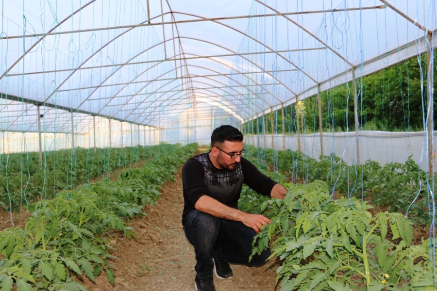 TERÖRDEN TEMİZLENEN TOPRAKLAR ÜRETİCİ İLE YENİDEN HAYAT BULUYOR