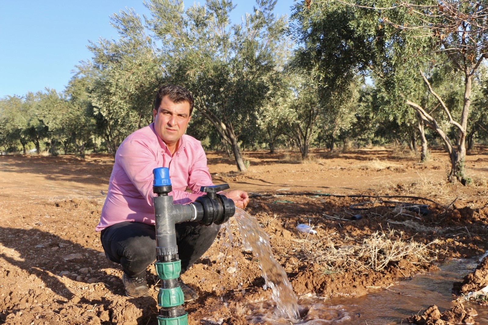 Silopili çiftçiden bir ilk :Toprak altı damlama sistemini kurdu