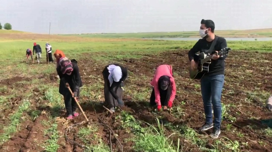 Tarlada çalışan işçi annelere konser