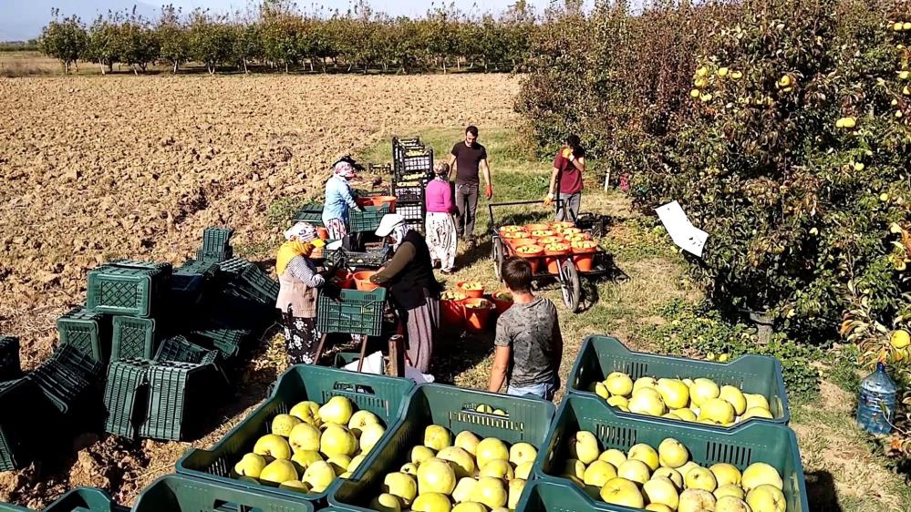 Çiftçilerin yüzü güldü!