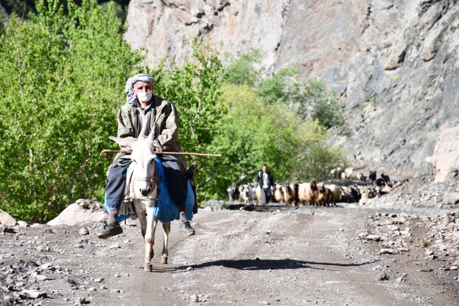 30 gün yol yürüyen göçerler yaylaya ulaştı