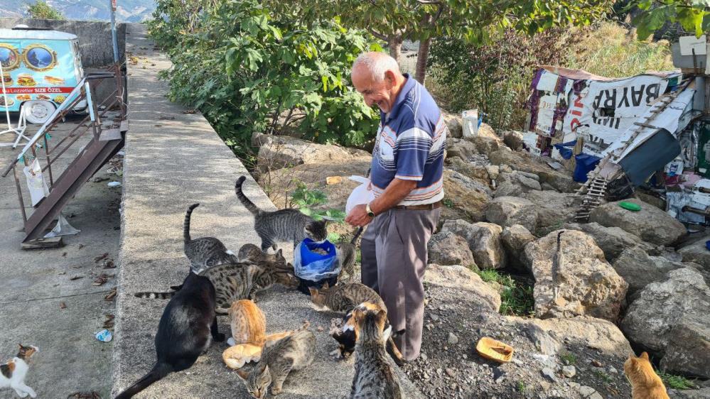 Emekli işçi maaşını 100 kedi için harcıyor